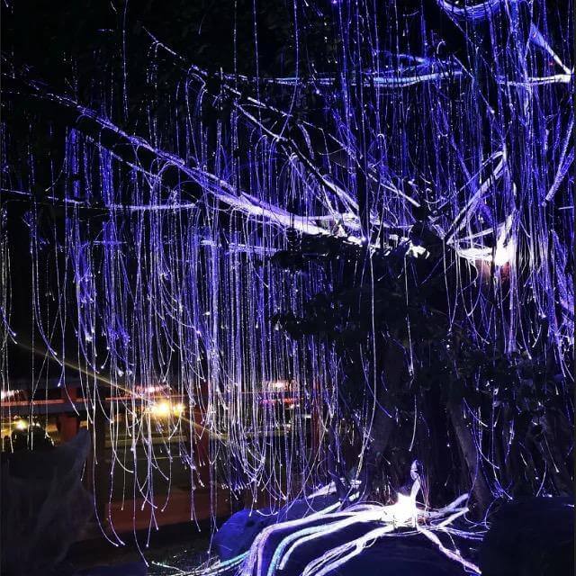 Fibra Optica pentru Casa