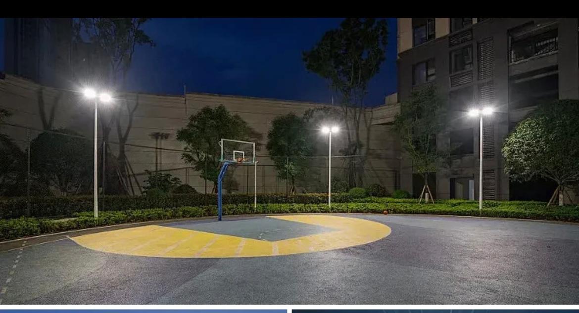 Proiector LED Aluminiu Premium cu Lupă de Mărire