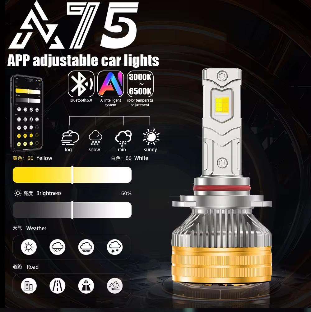 becuri led auto canbus compatibile