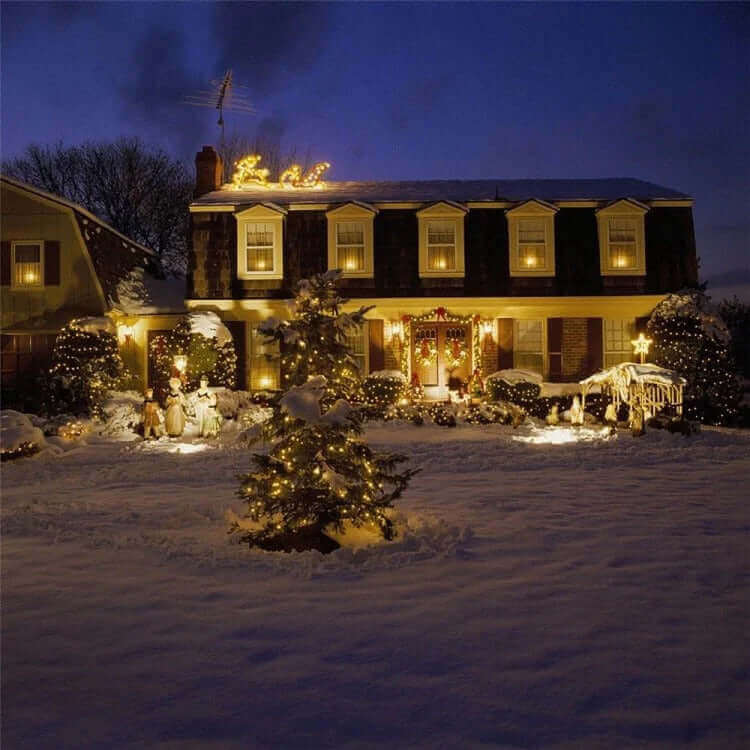 Decorațiuni Luminoase Crăciun