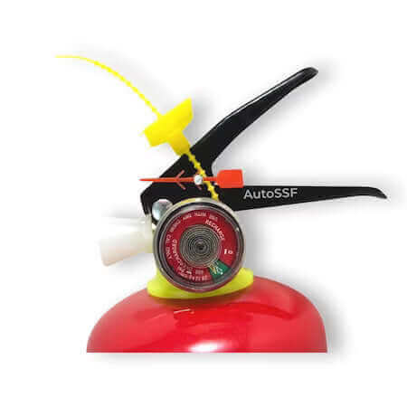 Stingator auto 1 kg pulbere P1
